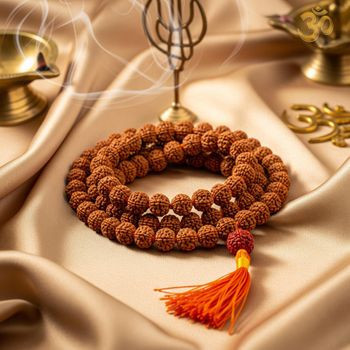 Nepal Origin 6 Mukhi