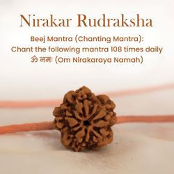 Nepal Origin 6 Mukhi