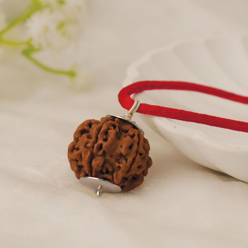 Nepal Origin 6 Mukhi