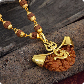 two Mukhi Rudraksha